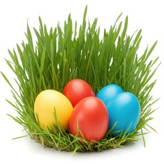 Fototapeta premium Colorful easter eggs in green grass isolated on white background