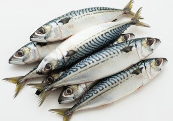 Obraz premium Fresh mackerel fish pile isolated on white background