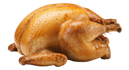Isolated Roasted Turkey for Thanksgiving Dinner