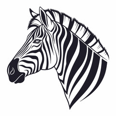 zebra vector illustration