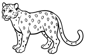 Fototapeta premium White Snow Leopard Line Art