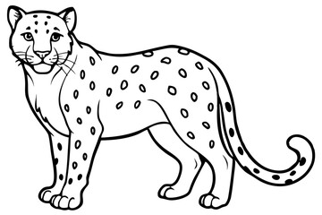 White Snow Leopard Line Art