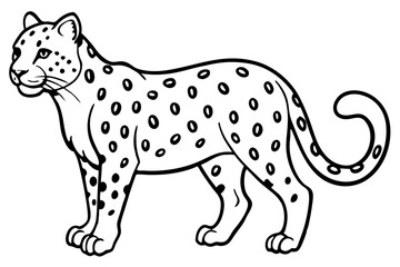 White Snow Leopard Line Art