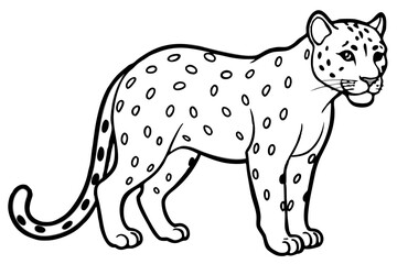 White Snow Leopard Line Art