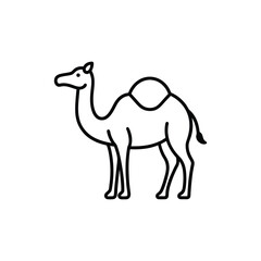 Fototapeta premium camel vector illustration outline icon on white background