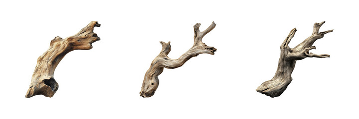 Fototapeta premium Driftwood Branches Set. Natural Decor And Art Material Collection Isolated On Transparent Background