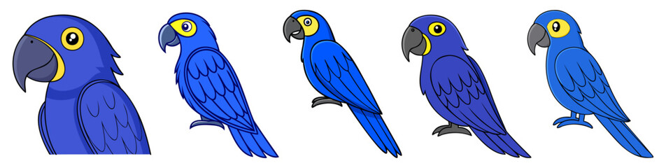 Set of Blue Macaw Parrots.  Macaw Bird Set on White Background
