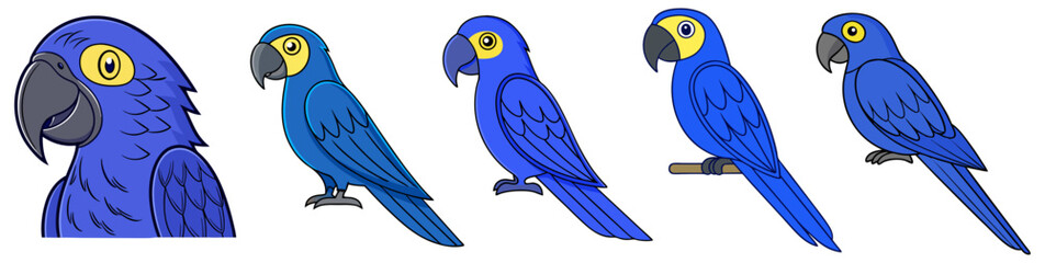 Set of Blue Macaw Parrots.  Macaw Bird Set on White Background  © Aritox