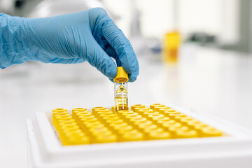 A healthcare worker removes the vial of virus from the biosafety cabinet for further analysis. The...