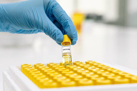 
A healthcare worker's hand removes vaccine vials from the biosafety cabinet for further analysis. The concept of precise handling and safety when handling medical samples under sterile conditions.