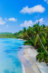 Two people stroll along a tranquil sandy beach surrounded by lush palm trees and vibrant blue ocean waves under a bright sky in Koh Kood Thailand