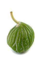 Apple of Sodom fruit