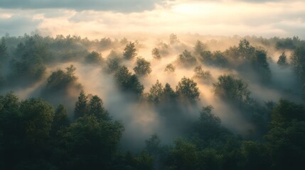 sunrise in the mountains