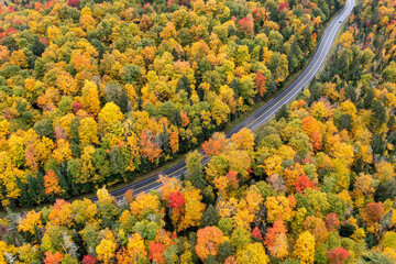 Fall Color along Route 86