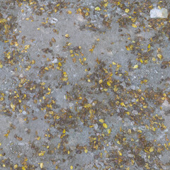 Seamless Natural Dirt Ground Texture with Dry Autumn Leaves 