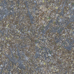 Seamless Natural Dirt Ground Texture with Dry Autumn Leaves 