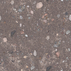 Seamless Natural Dirt Ground Texture with Dry Autumn Leaves 