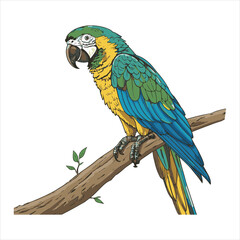 parrot Vector 