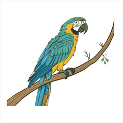parrot Vector 