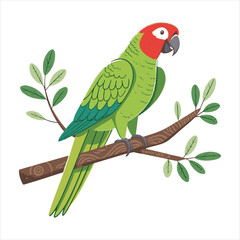 parrot Vector 