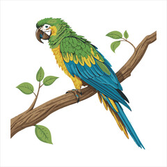 parrot Vector 