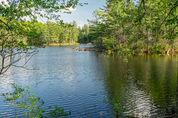 evening at paradise pond