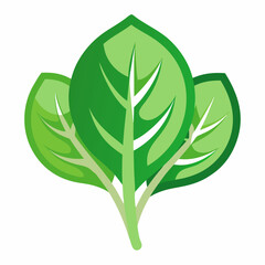 New Zealand Spinach icon on white background 