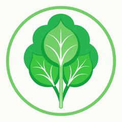 New Zealand Spinach icon on white background 
