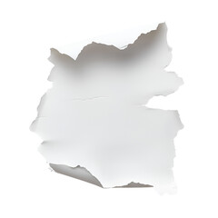 Fototapeta premium Torn White Paper on Black Background