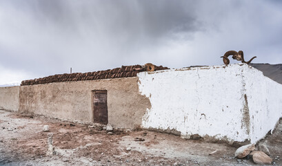 Ancient clay barn on which cow dung is dried for heating the stove in the house and the head of a...