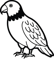 parrot line art on white
