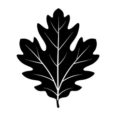 Oak Leaf Silhouette vector