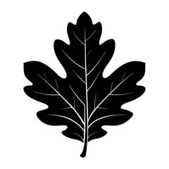 Fototapeta premium Oak Leaf Silhouette vector