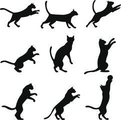 Joyful Playful Cat Silhouette