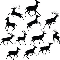 Forest Deer Silhouette