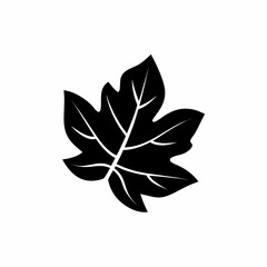 creative and simple minimal details Outline silhouette Simple vector icon leaf illustration 