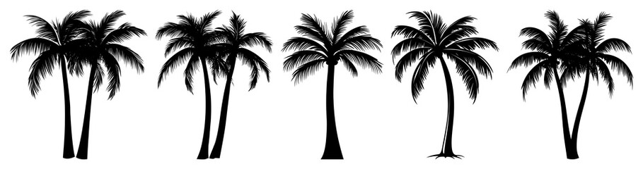 PNG Silhouette coconut tree illustration arecaceae landscape, transparent background