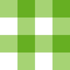 green plaid fabric	