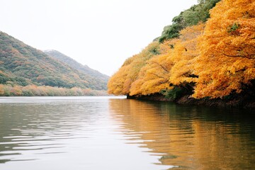 Autumn River Landscape - Serene autumn scene, showcasing vibrant yellow foliage reflected in calm water, alongside tranquil hills, symbolizing peace, tranquility, nature's beauty, seasonal change