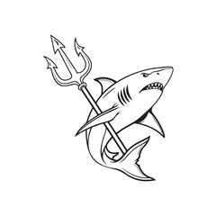 shark vector illustration