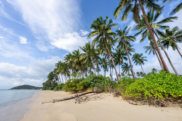 Tropical palm beach in summer, Koh Samui, Thailand