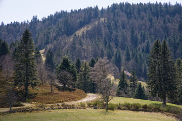 Chemin de montagne