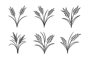 A set of rice plants line art vector illustration