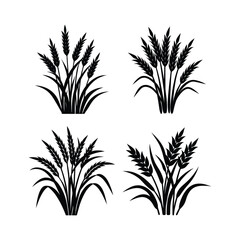 A set of rice plants silhouette vector art illustration