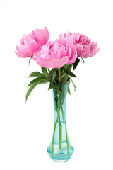 Beautiful bunch of fresh pink peonies in vase isolated on white background.
