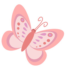 pink butterfly vector illustration