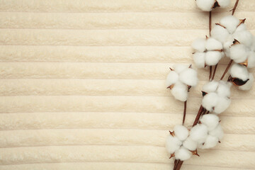 Beige soft plaid with cotton flower. Space for text