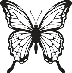 Butterflies silhouette vector illustration. Insect butterfly black silhouette winged gorgeous animal