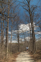 Jog in the forest in early spring