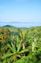 Landscape of Palawan Island on a sunny day, Philippines.